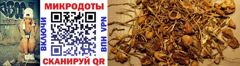 Галлюциногенные грибы MAGIC MUSHROOMS  Губаха 